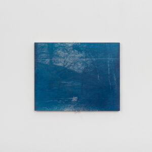 "Nighttime Lagoon"